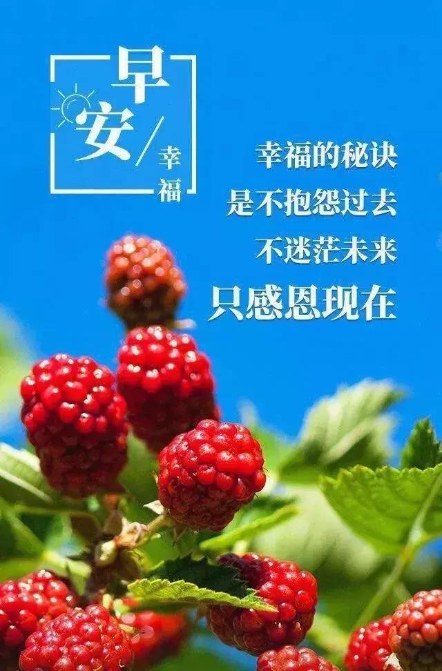 关于学生早读励志的句子（适合早起看的阳光励志说说）