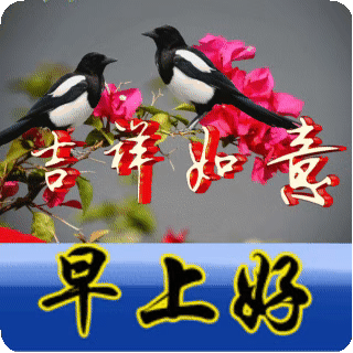 祝福别人幸福的话有哪些（真诚祝福别人幸福的说说）