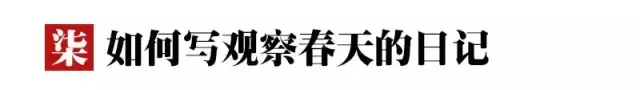 描写春天的词语和句子（形容春天生机勃勃的唯美语录）