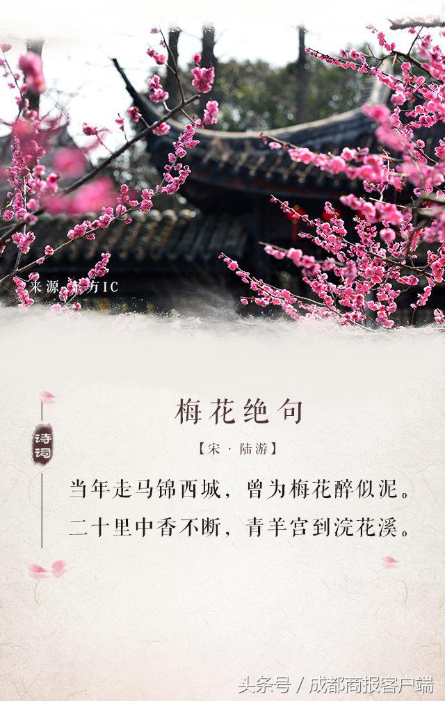 关于成都的诗句有哪些（最能代表成都的诗句）