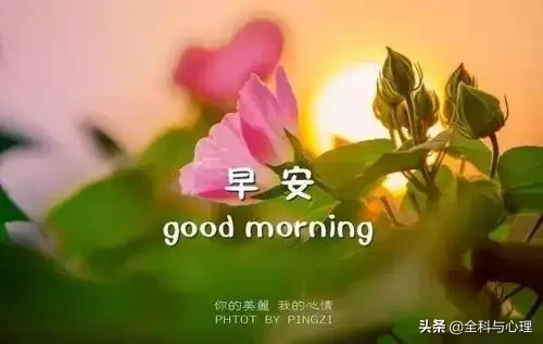 唯美的句子致自己简短（三观超正的温柔句子）