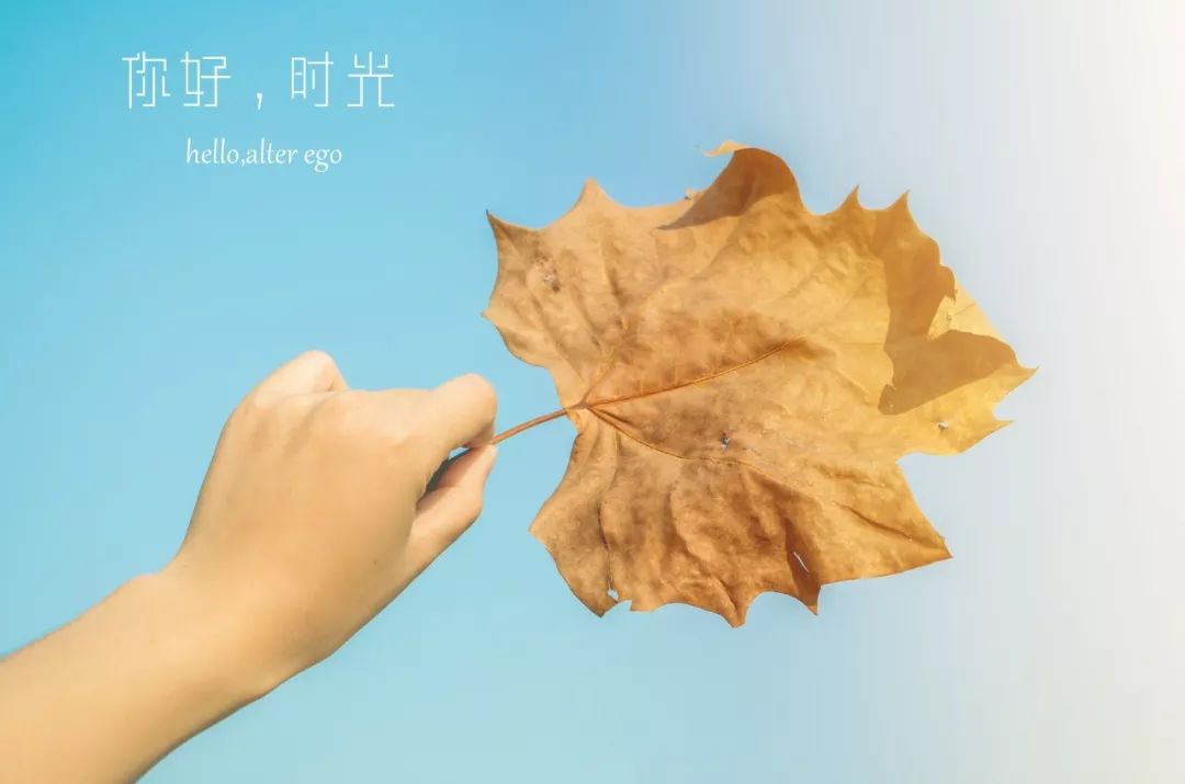 优美好句摘抄大全简短（值得摘抄珍藏的句子）