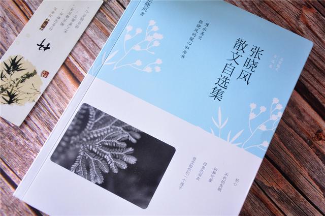 张晓风散文精选摘抄赏析（分享张晓风散文精选好词）