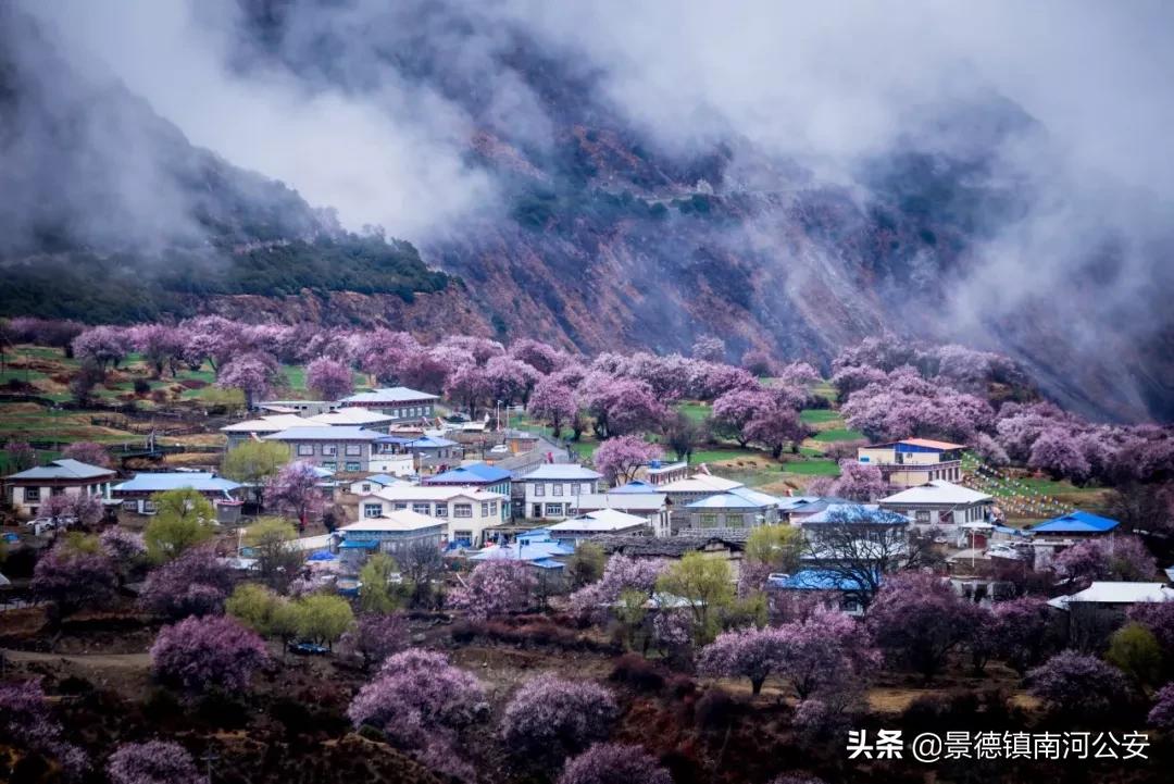 田园风光诗句有哪些（描写秋天田园风光的诗句）