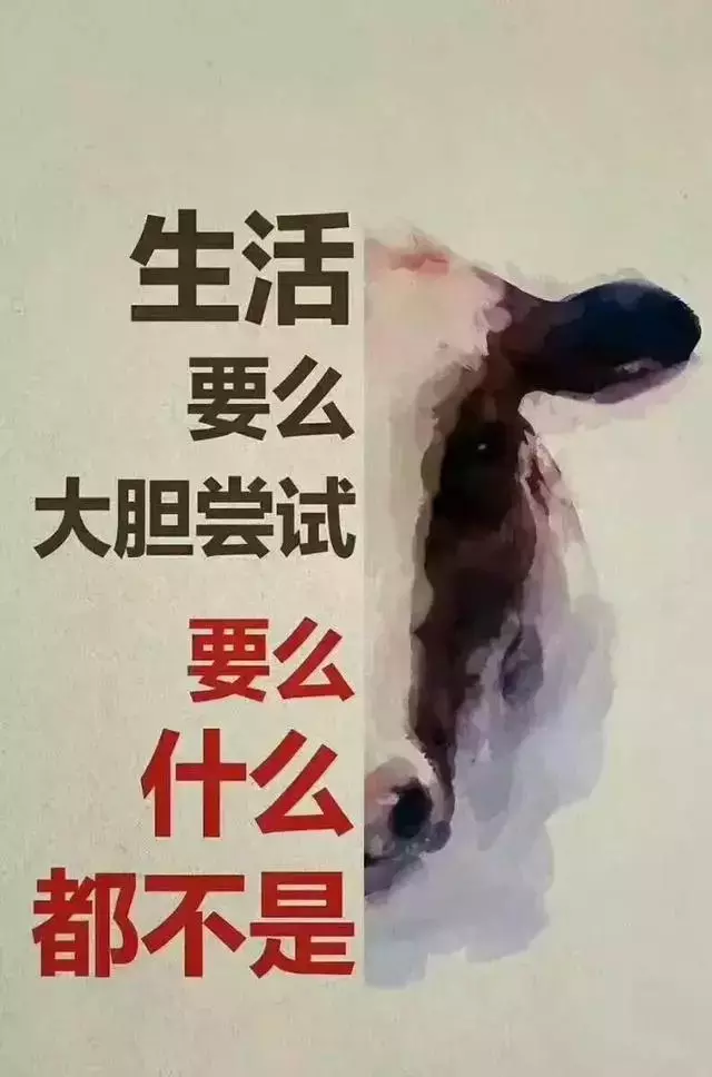 坚持努力就会有收获的句子（努力不会被辜负的名句）