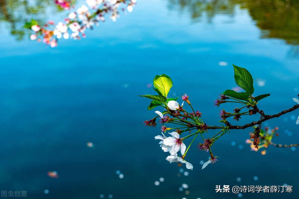 带春字的诗句有哪些（盘点含有春字的诗句）