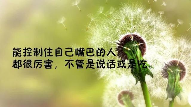 说到心坎的句子说说（经典人生短句分享）