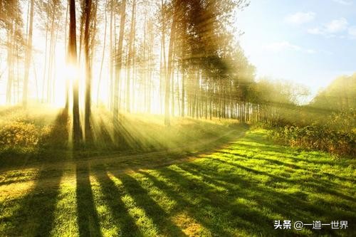 我的座右铭名人名言有哪些（最值收藏的名言名句）