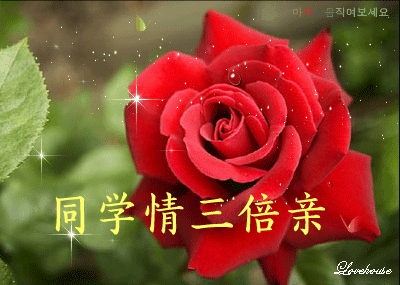 表达同学情谊的经典句子（同学情感语录短句）