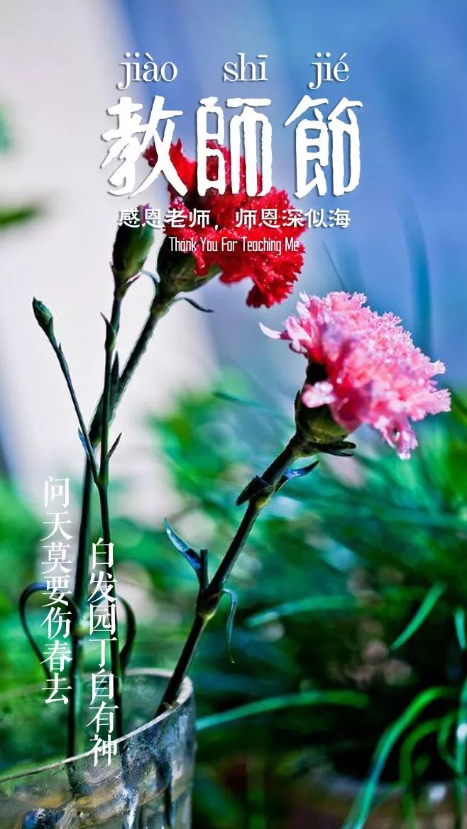 写老师的诗句经典（关于赞美老师的古诗）