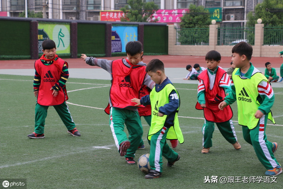 关于学校的句子有哪些（赞美校园的好词好句大全）