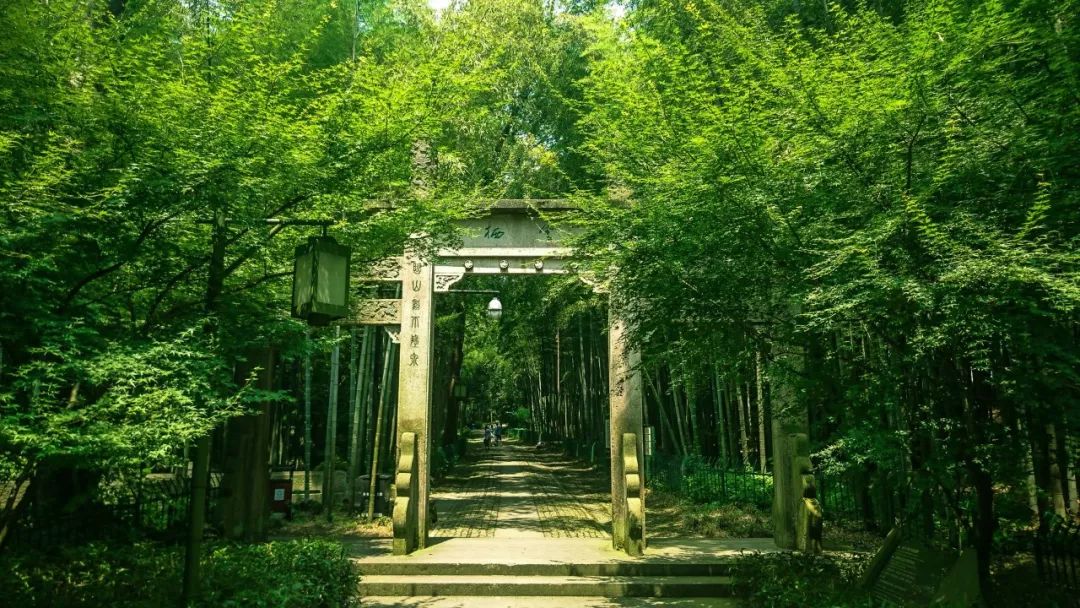 描写夏日的诗句是什么（形容夏天的唯美诗词）