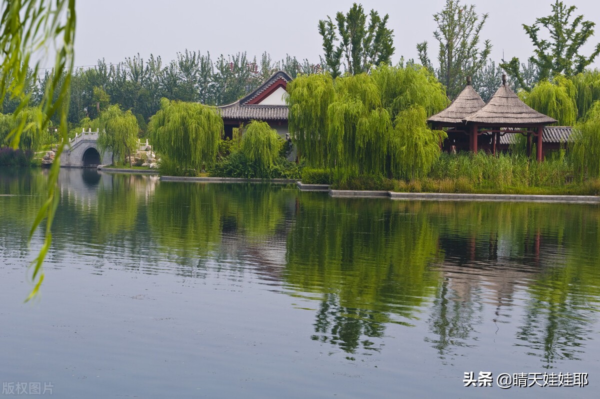 李清照诗句大全唯美（赞美李清照的优美句子）