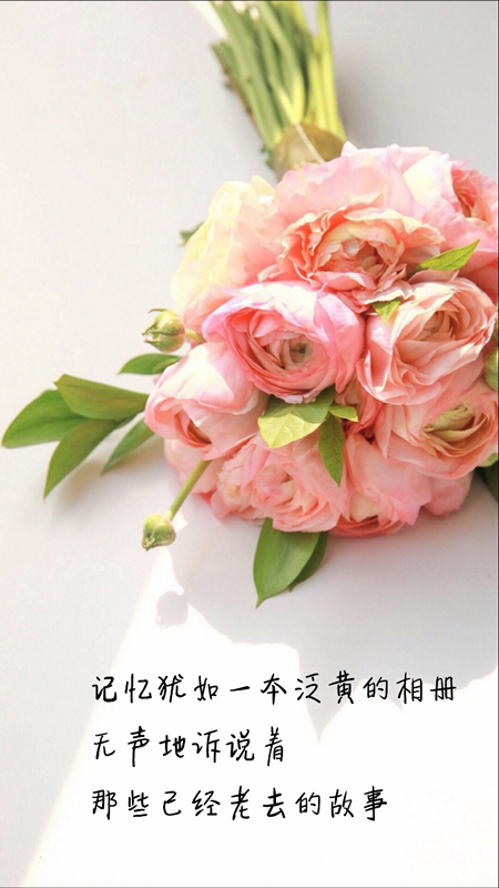 夫妻且行且珍惜的句子（婚姻相守不易经典句子）