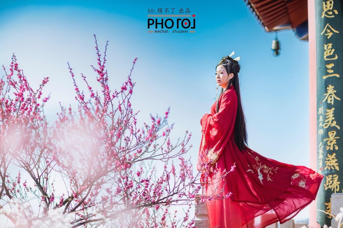 形容梅花的词语有哪些（盘点赞美梅花的成语）
