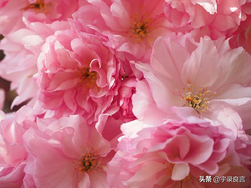 句句说到心坎上的句子（说不出的压抑和心累）