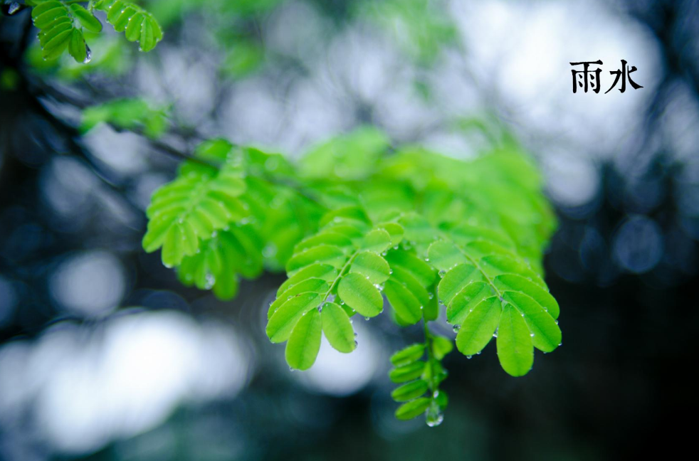 形容春雨的诗句有哪些（关于春雨的古诗词句）