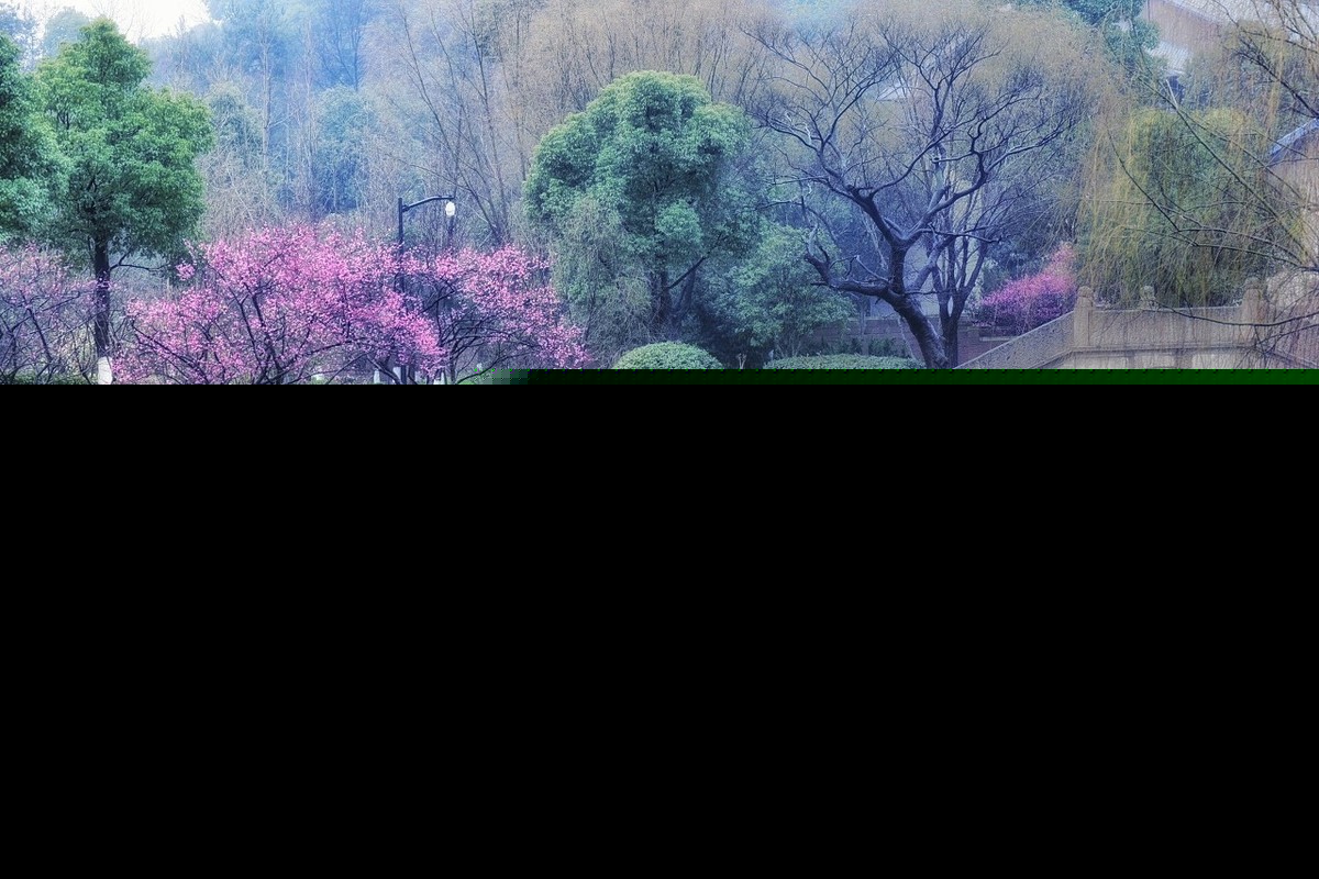 苏轼的南乡子赏析（南乡子全文赏析和解释）