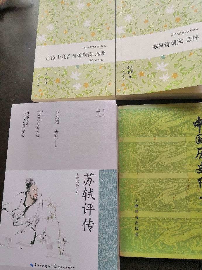 苏轼水调歌头诗词全文（苏轼水调歌头写作背景）