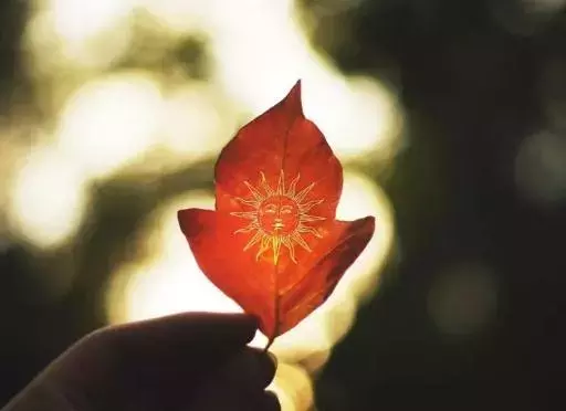 关于信仰的唯美句子（人生信仰最经典句子）