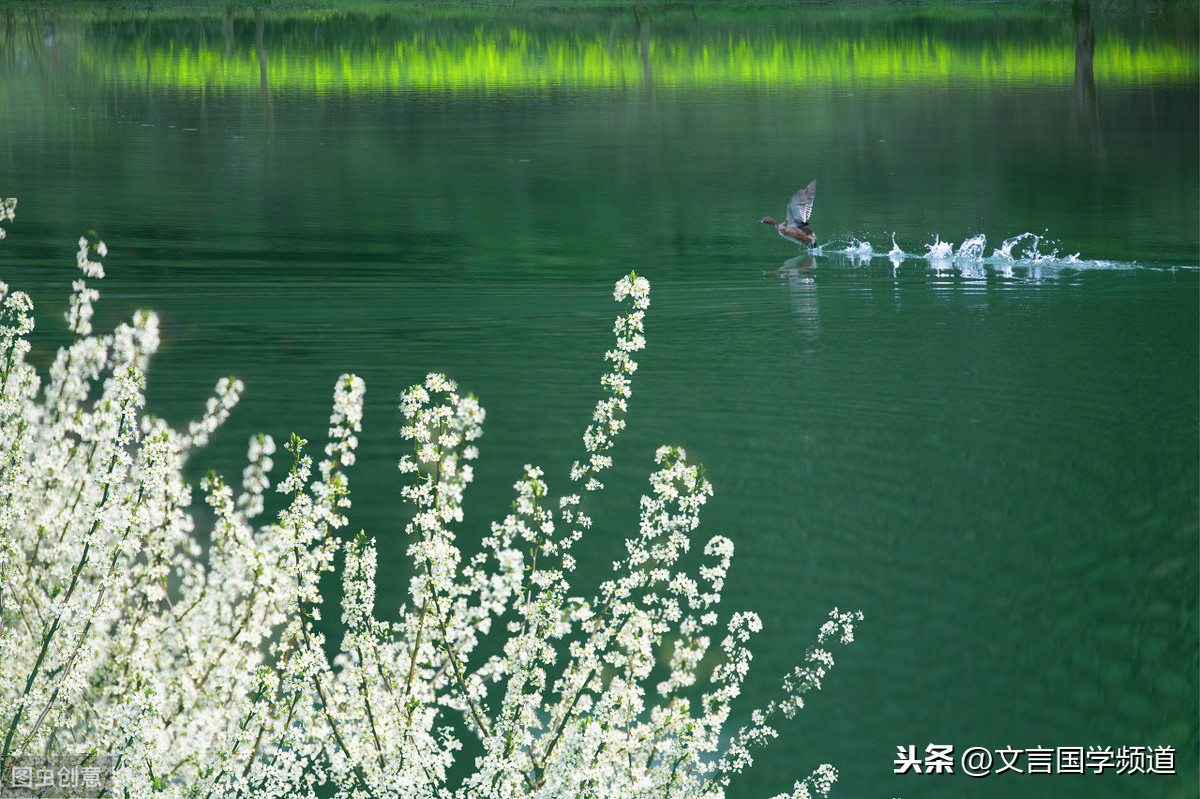 春江水暖鸭先知全诗译文（惠崇春江晚景二首古诗解释）