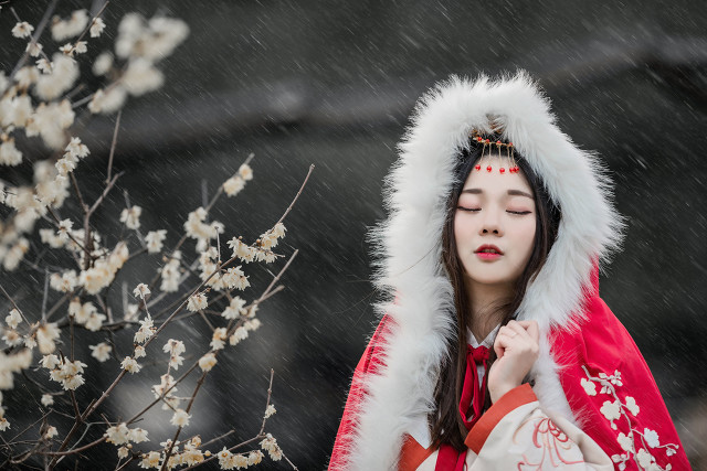 描写梅花的诗句有哪些（赞美梅花十首著名古诗词）