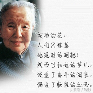 冰心最著名的诗有哪些（盘点100首冰心写的简短诗）