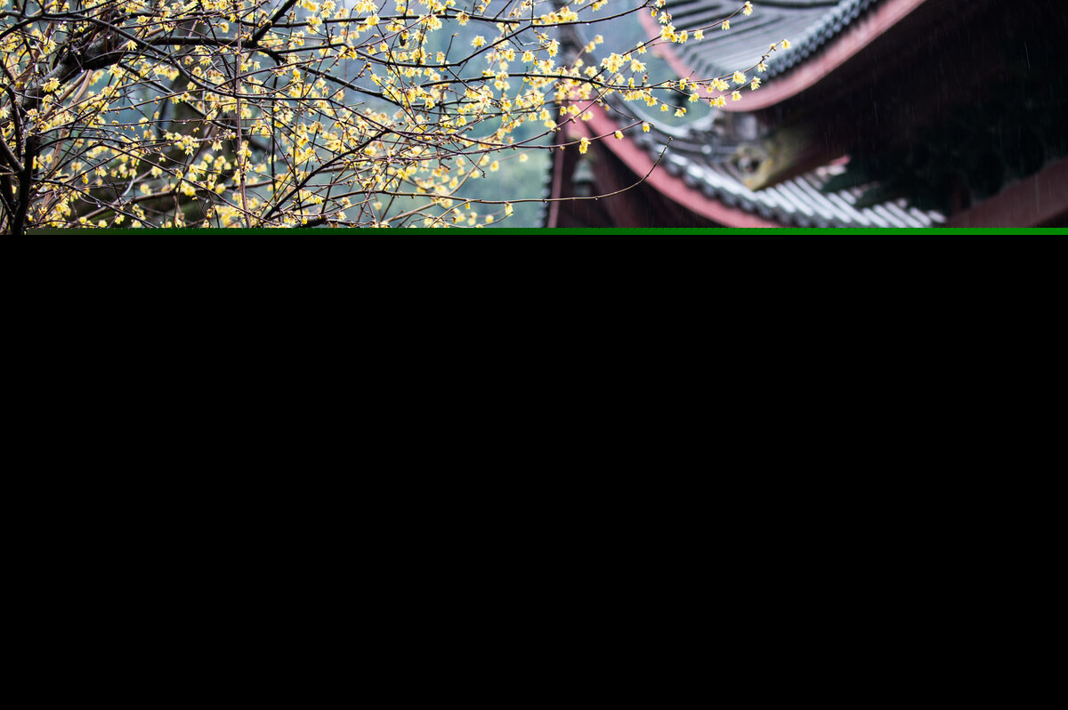 防患于未然下一句怎么接（防患于未然的名言名句）
