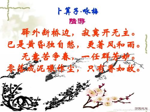 卜算子咏梅翻译赏析（卜算子咏梅的译文简短）