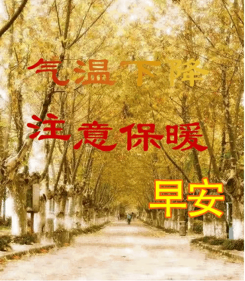 形容友谊长久的句子（愿友谊长存的心情语录）