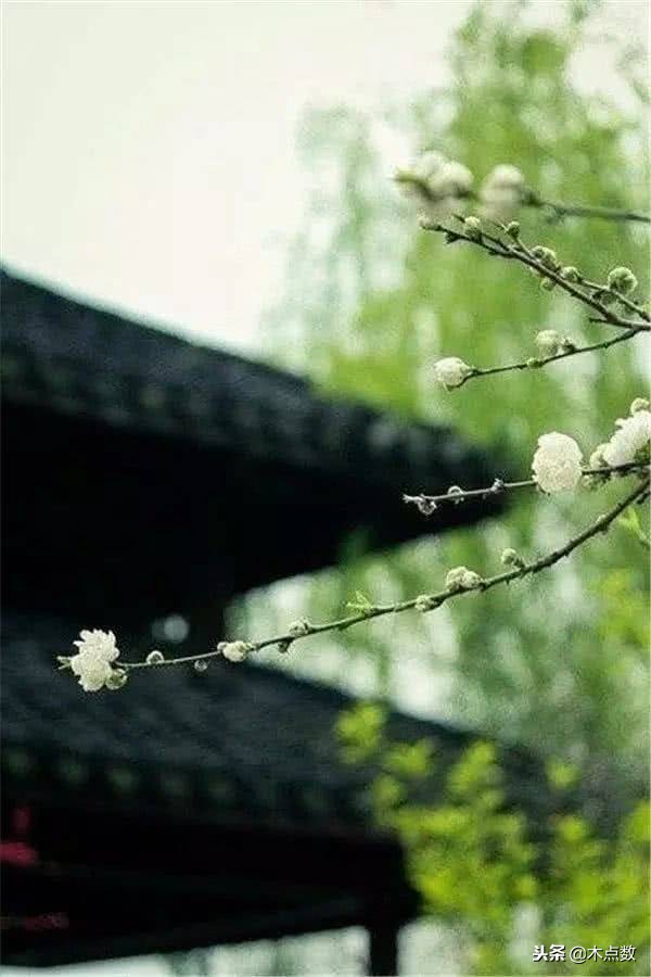 霸气冷血的古风句子长一点（淡雅唯美古风意境句子）