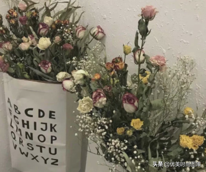 关于绿植的唯美句子（干净治愈的绿植文案大全）
