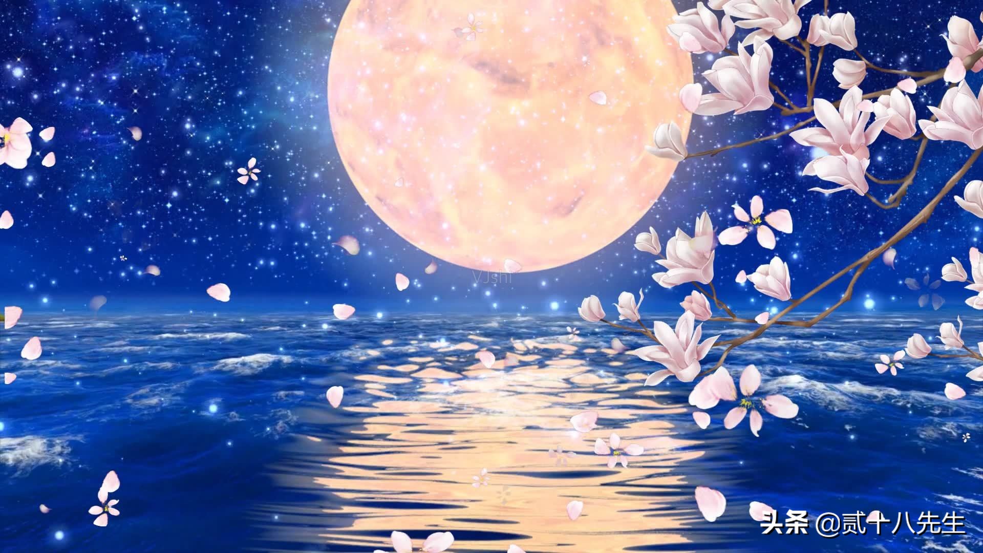 形容五月的优美诗句（描写五月的优美句子摘抄）