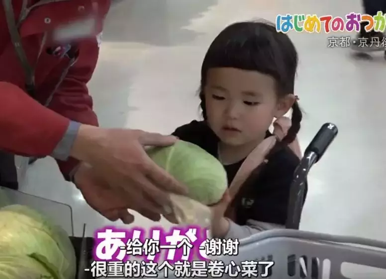 放手孩子的经典语录（写给孩子独立坚强的话）