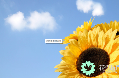 太阳花唯美花语大全励志语（赞美太阳花的名言）