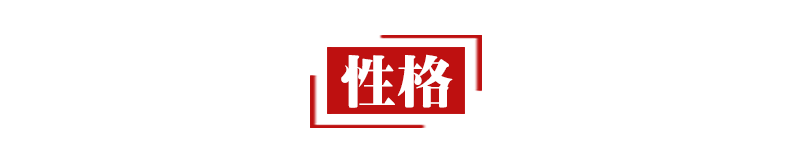 描写神态语言动作的句子（摘抄人物语言动作神态的好句）