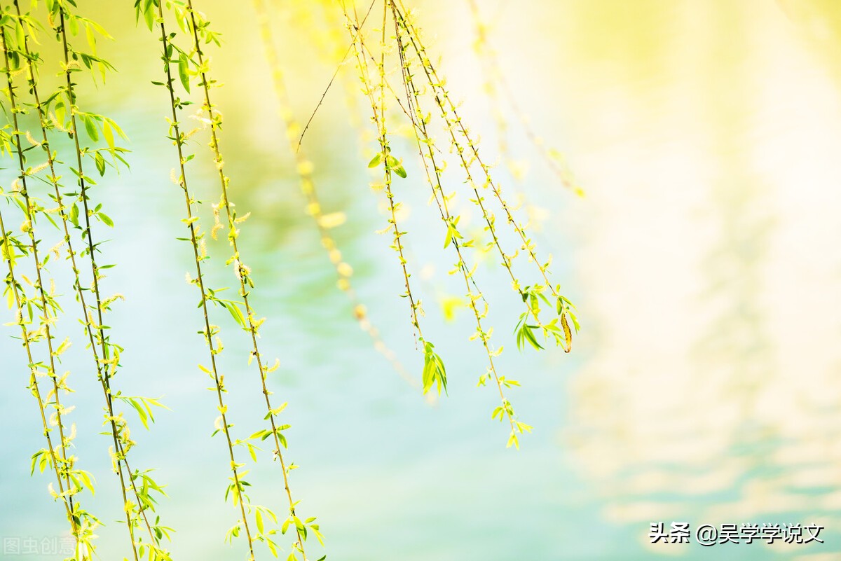赞美春天诗句（描写春天的优美短句）