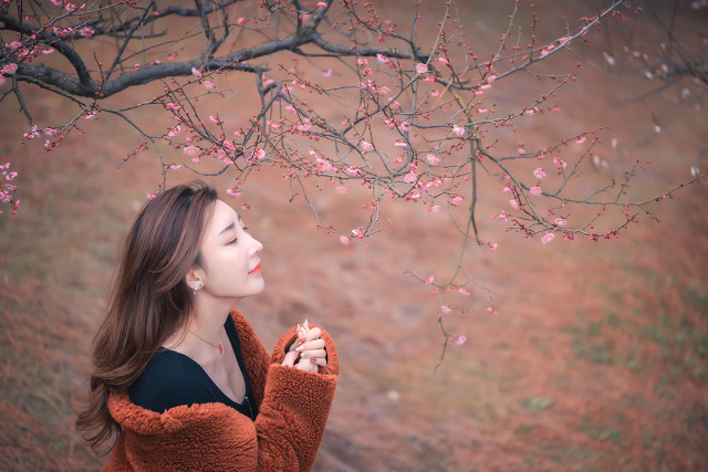 描写梅花的诗句有哪些（赞美梅花十首著名古诗词）