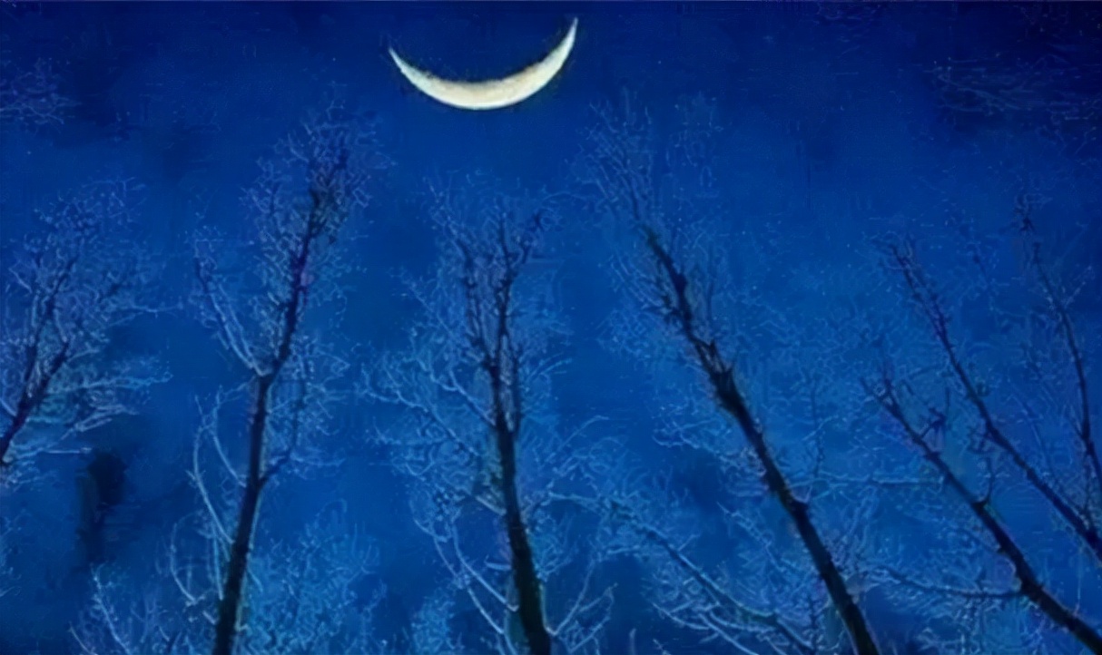 形容月亮的词语有哪些（夜晚月色迷人的句子）