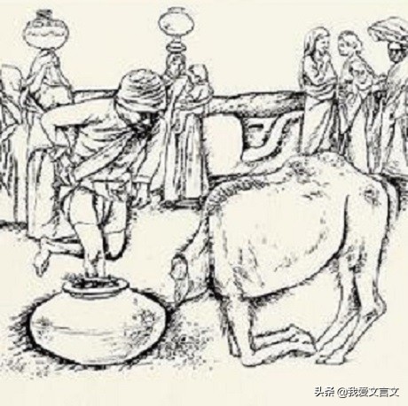 杀驼破瓮的文言文翻译（杀驼破瓮最好的办法）