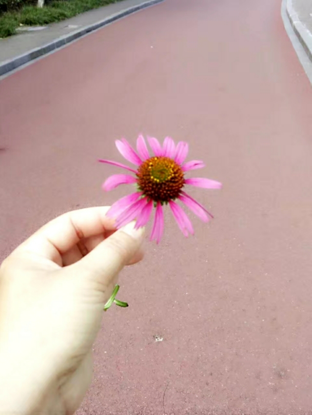 善待自己学会快乐心情句子（生活中你学会善待自己）