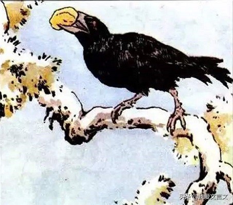 乌鸦喜谀的启示（乌鸦喜谀文言文注释）