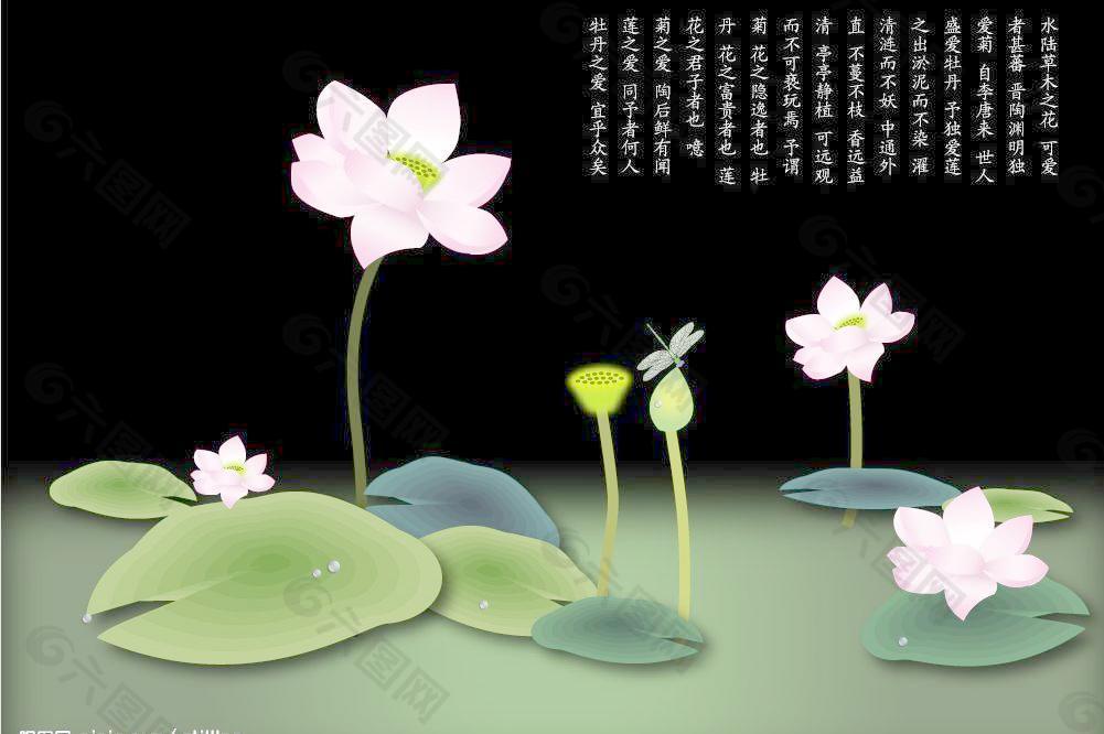 古代描写荷花的诗词有哪些（最著名的5首咏荷诗赏析）