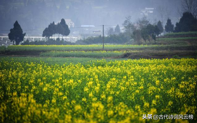 表达游子思念家乡的优美短句（适合发朋友圈想家的句子）