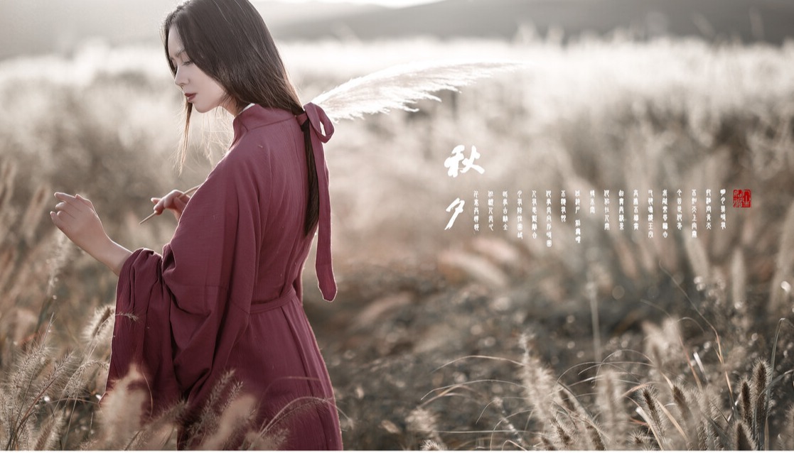 渭上秋夕闲望赏析全诗（渭上秋夕闲望诗人情感）