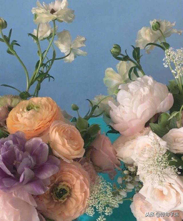 爱情表白最感动的句子（感动女孩子到哭的情话）