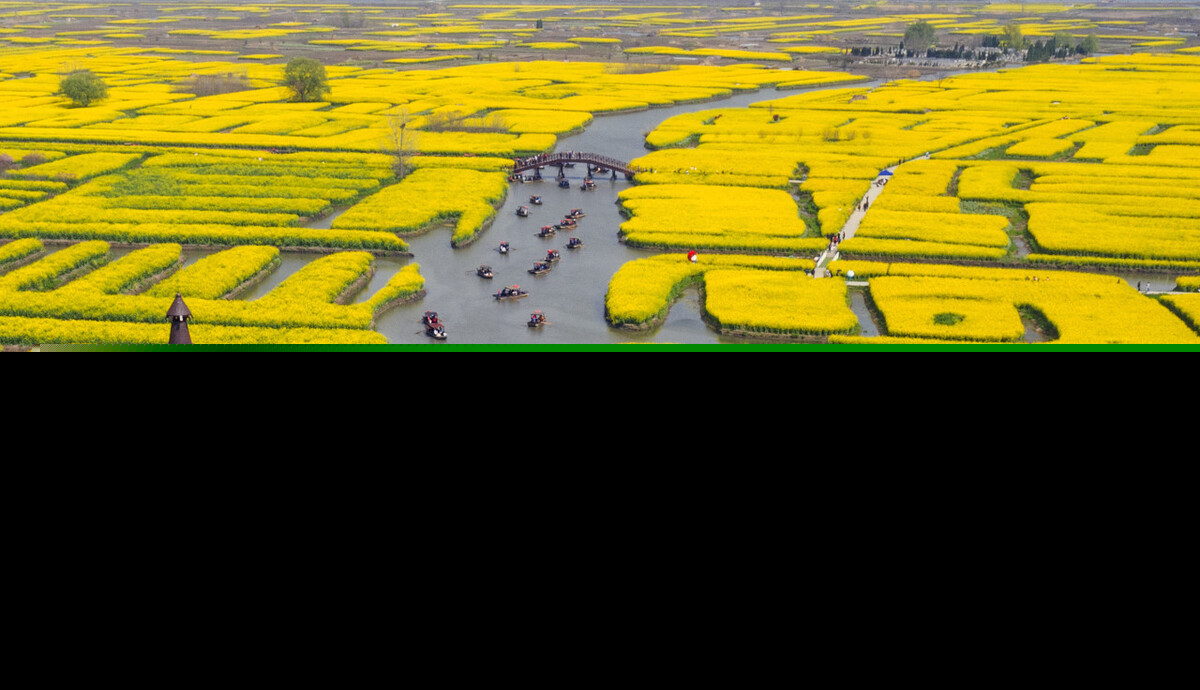 中国现代诗歌赏析（中国现代诗歌精选）