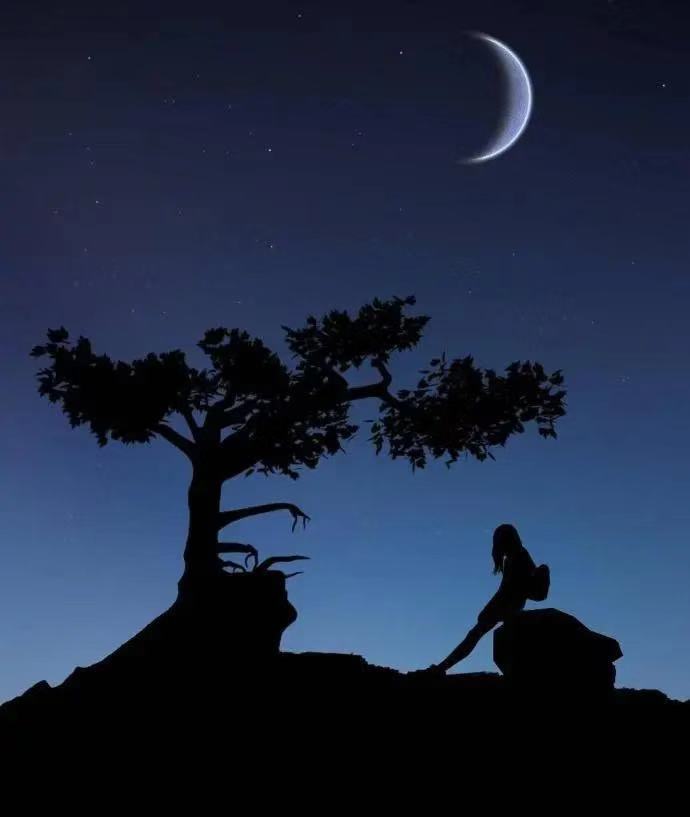 执着的句子说说（让情人感动流泪的挽回的话语）