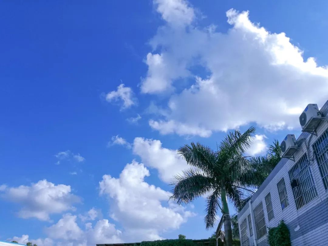 适合摘抄的现代诗（现代诗歌摘抄大全）