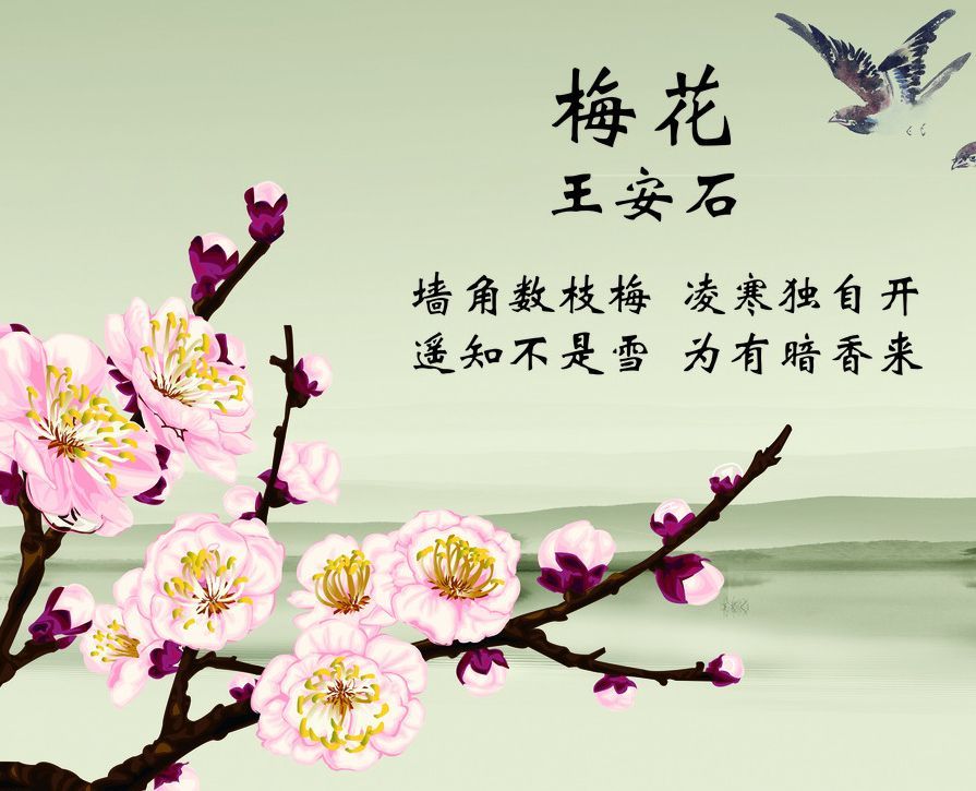 咏梅王安石的诗拼音（王安石的红梅古诗拼音 ）